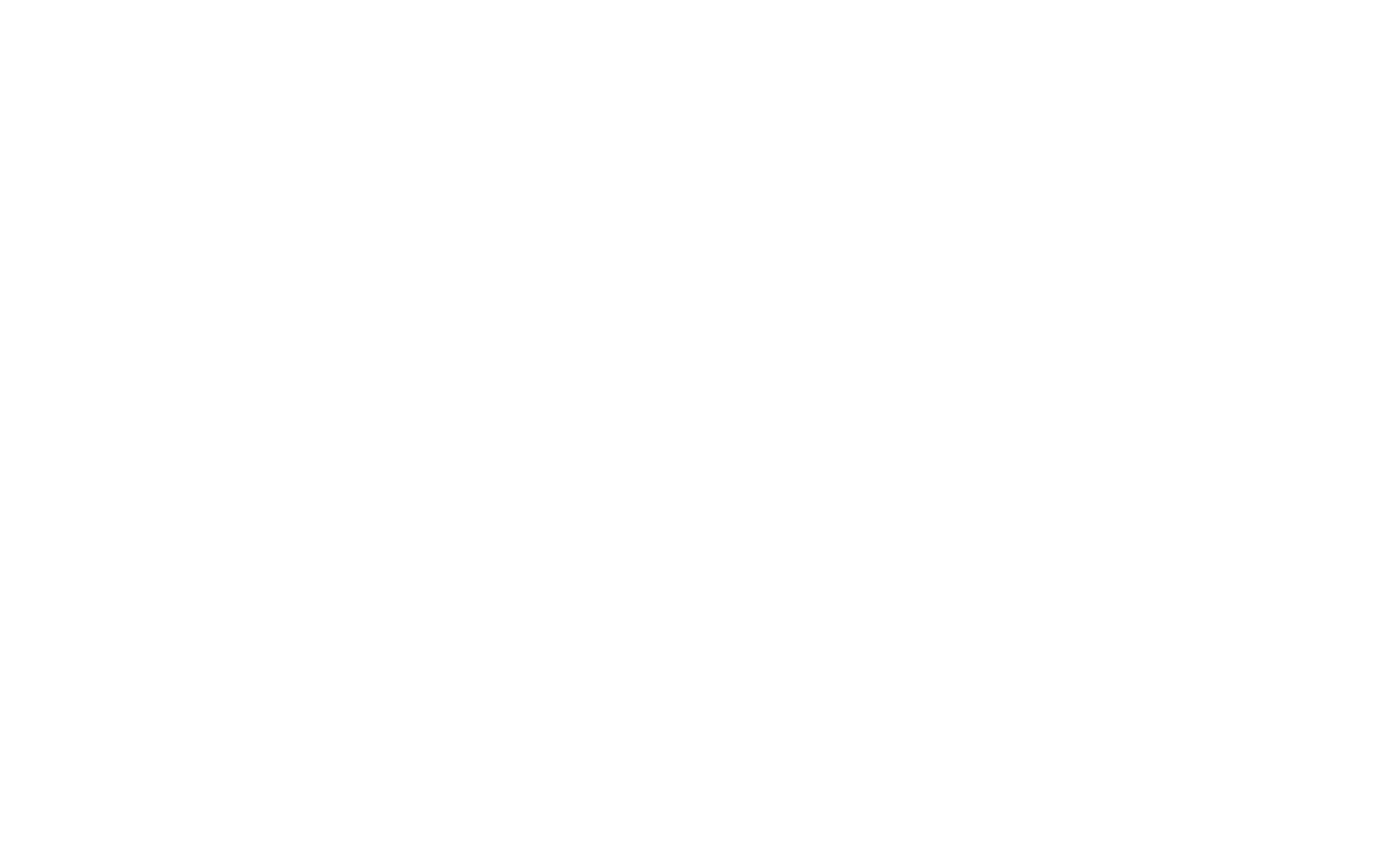 ioki | Website Systembild | Logo negativ
