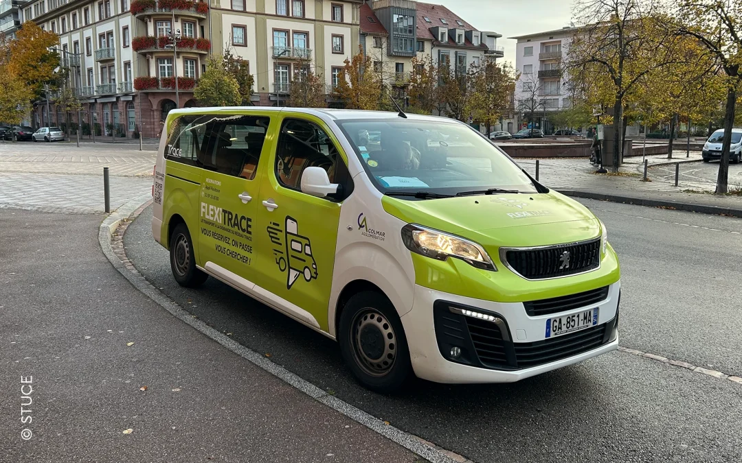 Digital on-demand service for urban and suburban areas – FlexiTrace